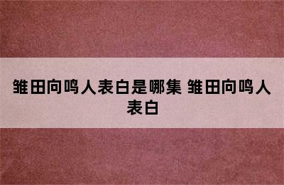 雏田向鸣人表白是哪集 雏田向鸣人表白